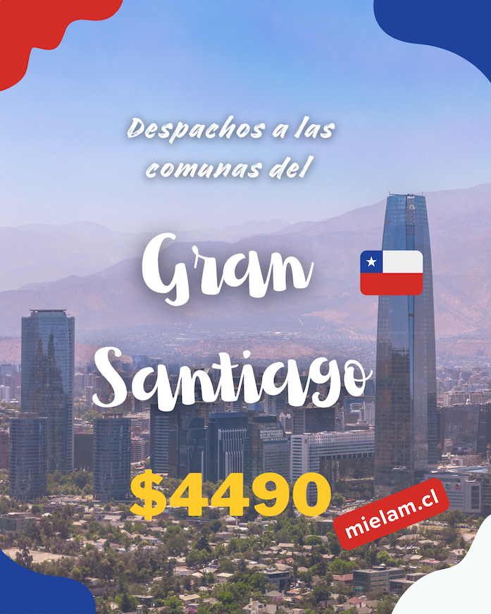 Despacho Comunas de Santiago