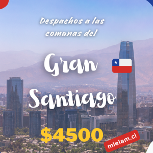 Despacho Comunas de Santiago